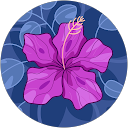 Priya Anand profile picture